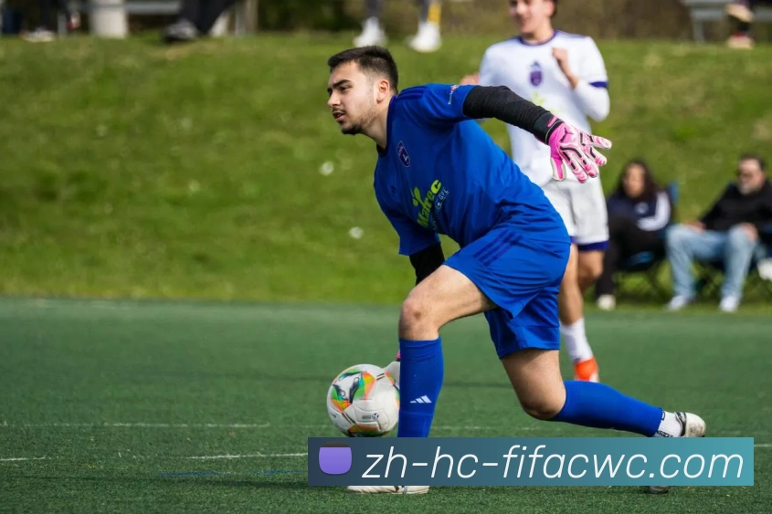 世界杯在线观看平台生态图