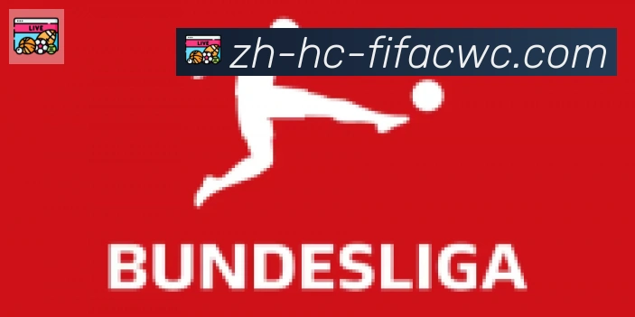 世界杯在线观看合作伙伴