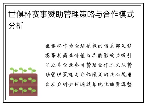 世俱杯赛事赞助管理策略与合作模式分析