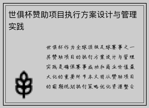 世俱杯赞助项目执行方案设计与管理实践